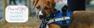 Young puppy in a service dog vest looking at the camera.